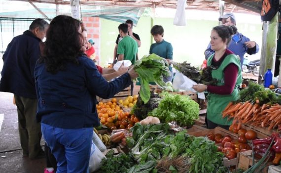 Productores esperan repuntar las ventas