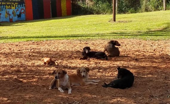 El Refugio: un lugar donde amor es lo que sobra y nunca está de más la ayuda