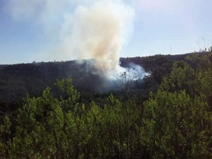 Estiman que se quemaron más de 70 hectáreas de la Reserva Yabotí en El Soberbio