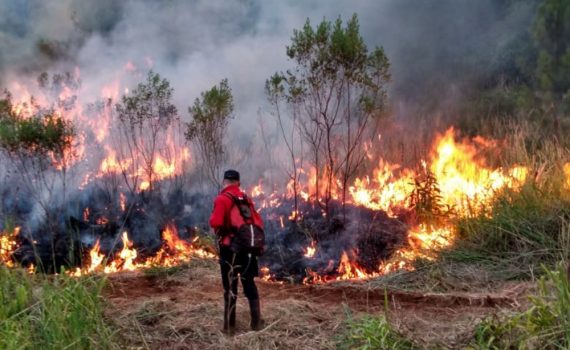 Gobernador Roca declarará la emergencia hídrica y agropecuaria por la sequía