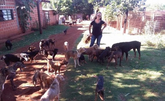 “Aumentó mucho el abandono de animales, es muy triste lo que está pasando”