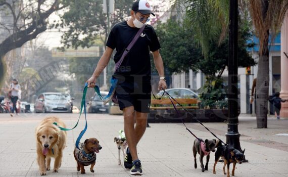 El canicross, la salida a correr con los perros que se volvió deporte