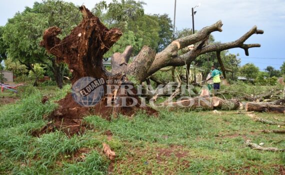 Qué dejó la tormenta tras su paso por Misiones