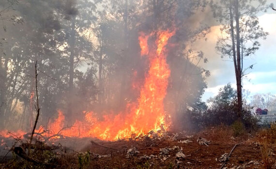 En una semana los Bomberos de Misiones realizaron 96 intervenciones por incendios