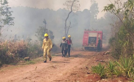 “Debemos erradicar el hábito de utilizar el fuego como herramienta de trabajo o limpieza”