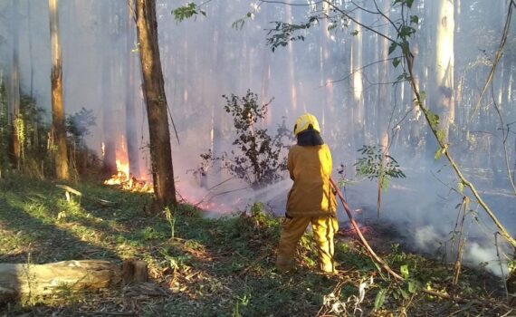 Incendios forestales: en estos momentos hay cuatro focos activos en Misiones