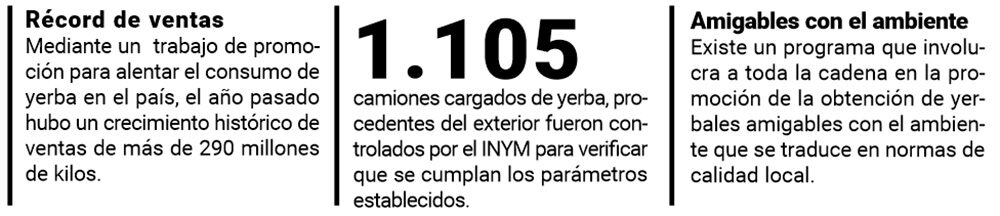 Cuál es la yerba mate más fuerte? ¡Verificamos!