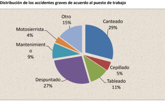 Advierten que muchos aserraderos no cumplen las condiciones de seguridad