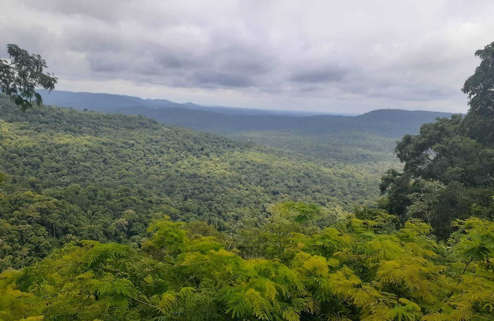 Ley de Bosques - Misiones